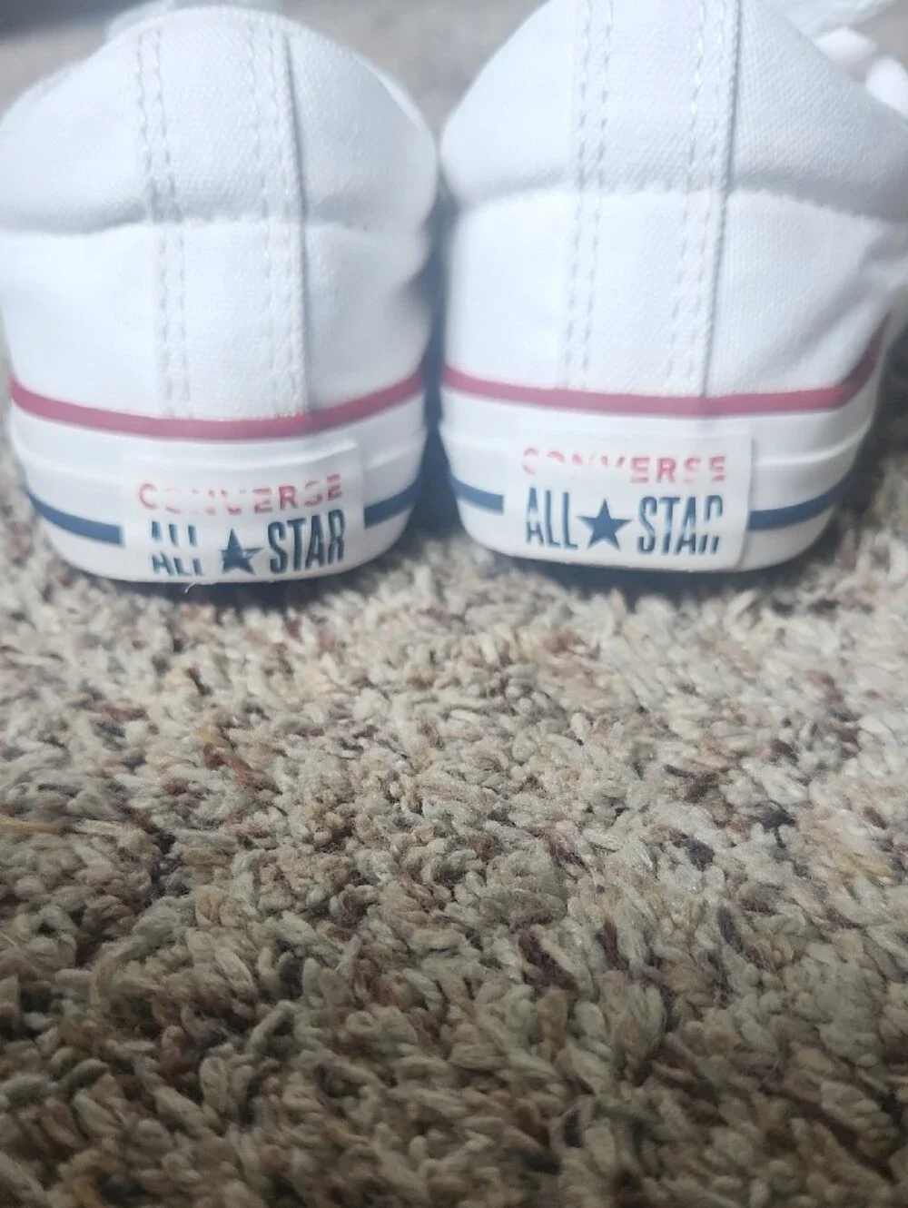 Converse ALL-STARS Low Top Shoes
